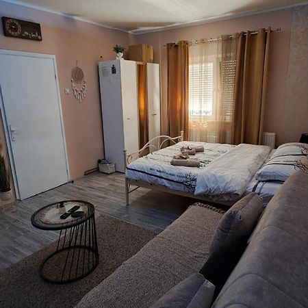 Apartman Iva Заечар Экстерьер фото